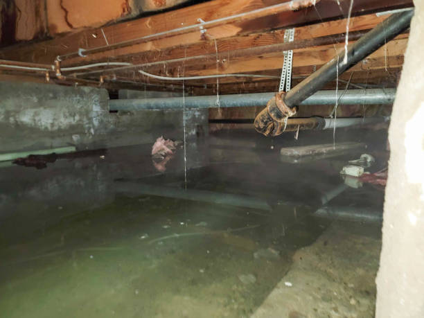 Best Water damage restoration near me  in Shrewsbury, NJ