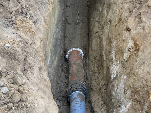 Best Flood damage cleanup  in Shrewsbury, NJ