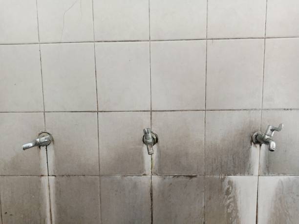 Best Water damage contractors near me  in Shrewsbury, NJ