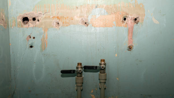 Best Water damage restoration near me  in Shrewsbury, NJ