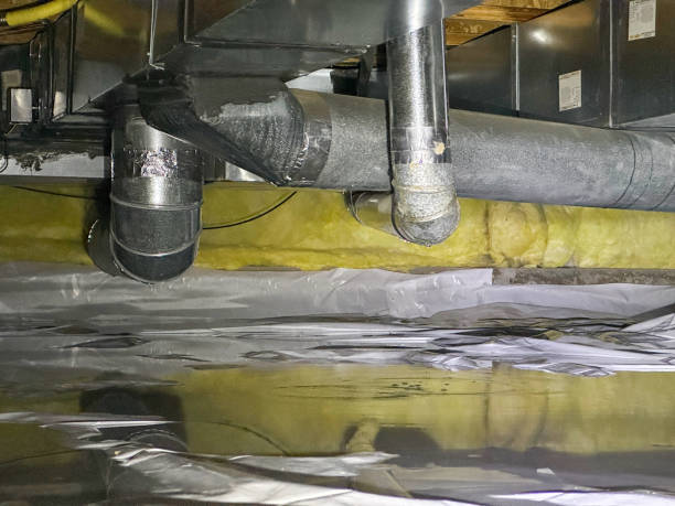 Best Local water damage restoration  in Shrewsbury, NJ
