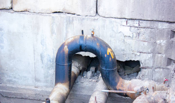 Best Basement water damage restoration  in Shrewsbury, NJ