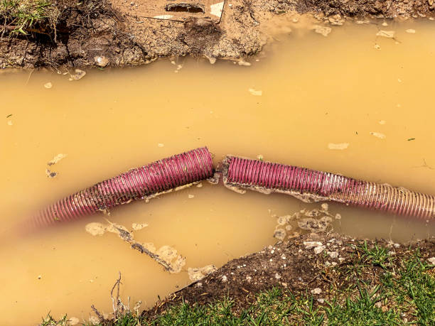 Best Professional water damage repair  in Shrewsbury, NJ