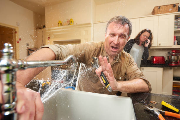 Best Water damage cleanup near me  in Shrewsbury, NJ